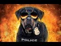 Show Dogs (2018) Trailer HD