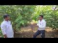 तीन एकरात अंजीर शेतीतून विक्रमी उत्प�