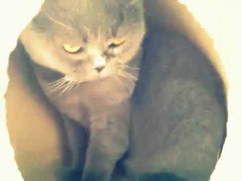 Die Sisaltonne - First contact.