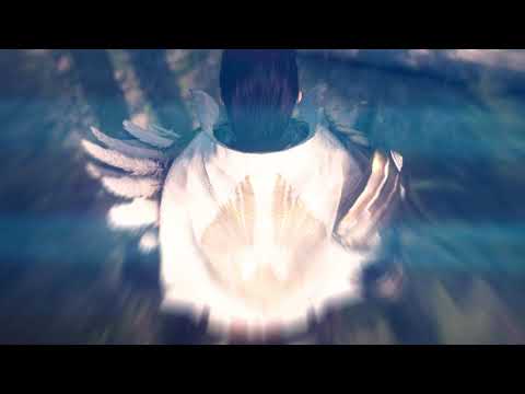 BlackOrder AOA Intro