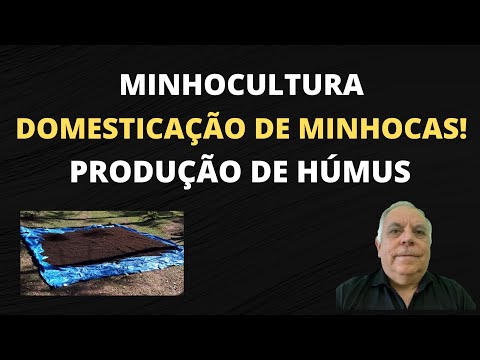 [SEGREDO] AS MINHOCAS foram DOMESTICADAS para PRODUZIR HÚMUS!