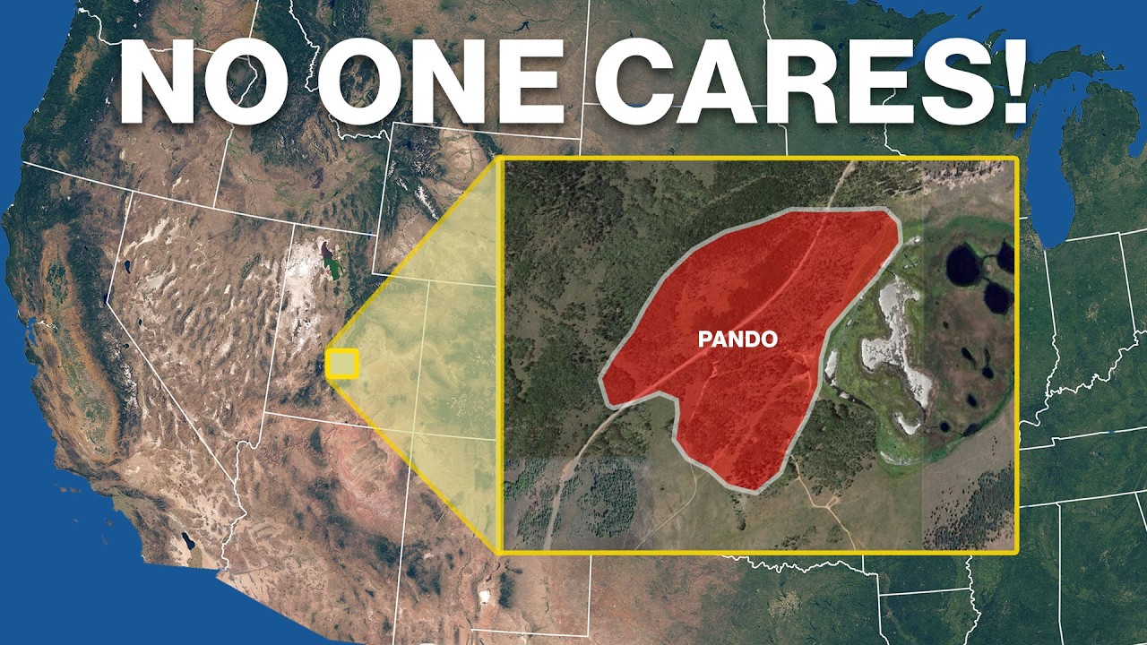 The Most Overlooked Natural Wonder in the World!