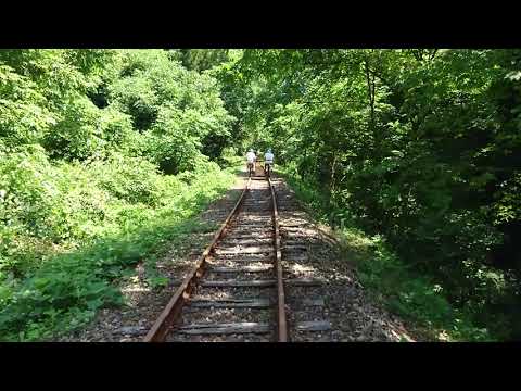 【旧神岡鉄道】レールマウンテンガッタンゴー‼　渓谷コース復路