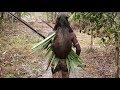 JEJAK PETUALANG BERBURU ALA KOMBAY 30 10 18 Part 1