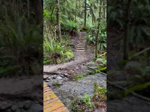 Video of beginning of trail across from pit toilet