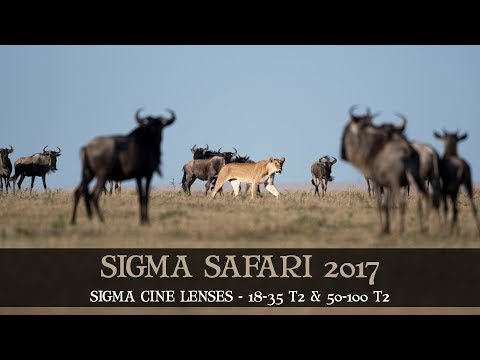 SIGMA SAFARI 2017 - SIGMA CINE LENSES
