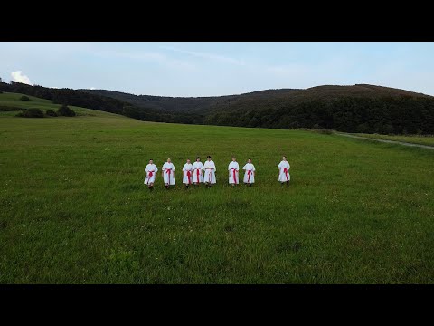 Mistřické frajárky & Tomi P - V zelenéj dubině