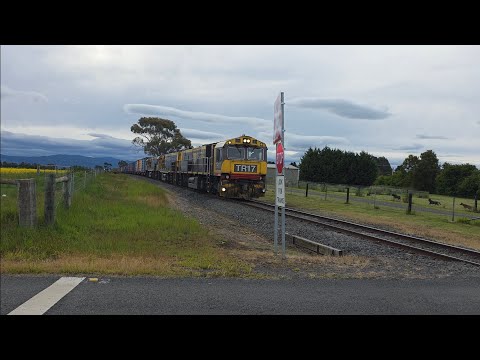 Treno TasRail TR17 TR15 TR13 #31 che attraversa Maitland Lane