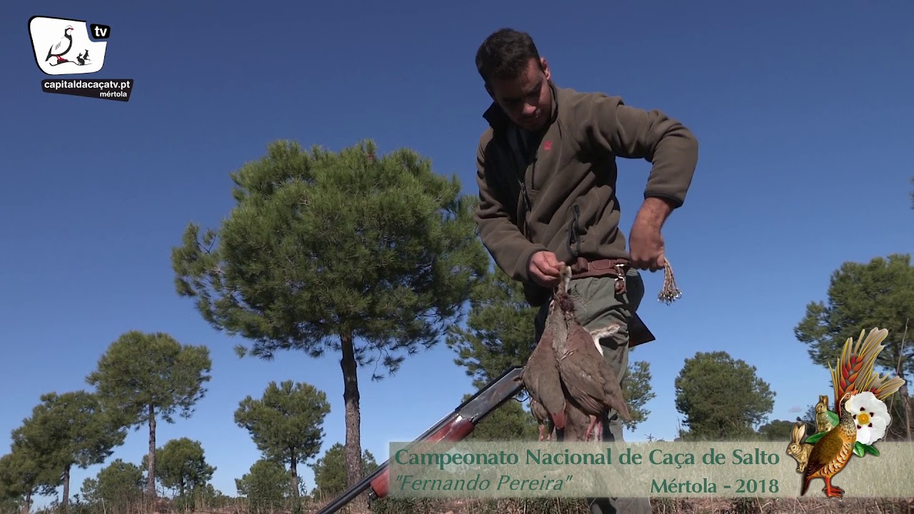 Campeonato Nacional de Caça De Salto "Fernando Pereira"