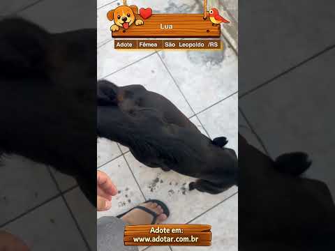 Vídeo de Lua