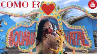 Como  o Aqurio Natal?