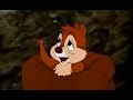 Chip And Dale Donald Duck Cartoons Full Movie Episodes