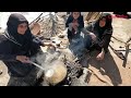 Making wheat for family lunch (local name Sehpazhi).cheshme aficall channel