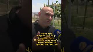 Վախեցնելով, ֆիզիկական ուժով՝ իրավապահները ներխուժել են գործարան․ «Արարատցեմենտի» գլխավոր տնօրենի ժ/պ