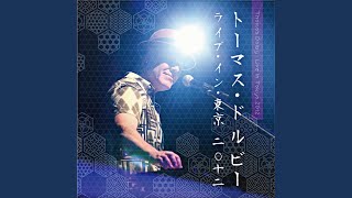 The Flat Earth (Live)