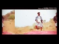 Pilla palungi jarur chahe jaan chali jaiyo. by The Haryanvi Mashup 2 Lyrical Video