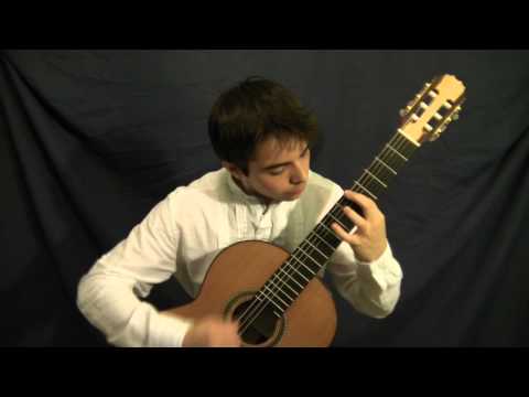 NikolasBéreš - Pat Metheny - Letter From Home - guitar, Nikolas Beres