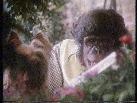 Thames: Adverts/Continuity (poor quality) Thursday 4th August 1988