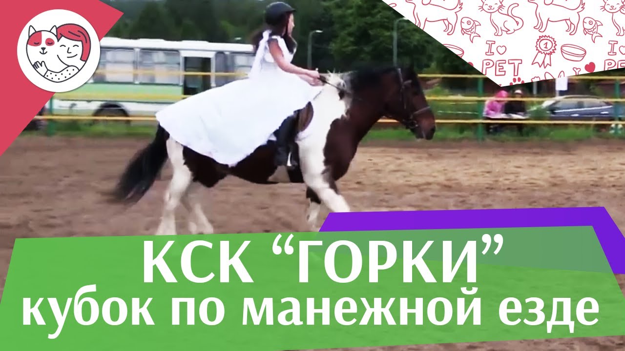 Летний кубок КСК Горки по манежной езде КЮР часть 17 на ilikepet