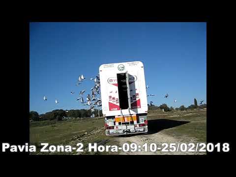 A C D Porto PavIa Zona-2-25/02/2018-PORTUGAL