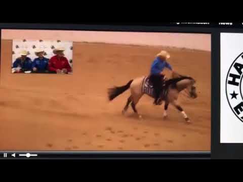 2017 High Roller Reining El Capatan