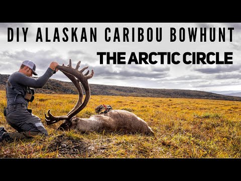 DIY CARIBOU BOW HUNT in Alaska North of THE ARTIC CIRCLE | Bowmar Bowhunting |