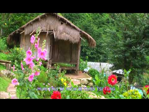 Kev Ca Sab Nplajteb Tsi Muaj - Nyaj Xuv Xyooj