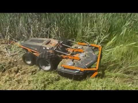 Raymo Electric RC Mower - Mowing Through Thick Bulrush