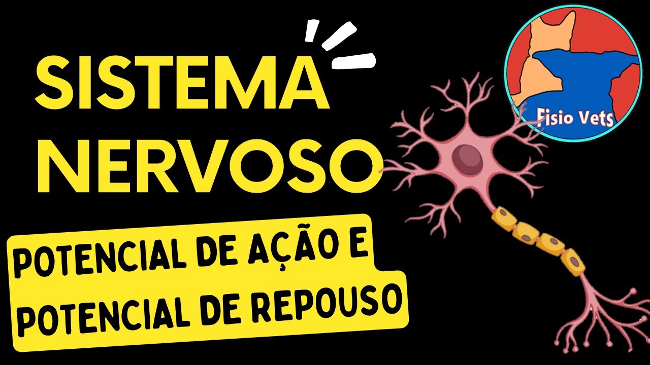 Neurofisiologia - Potencial de ação e potencial de repouso - Fisiologia veterinária - Aula 1