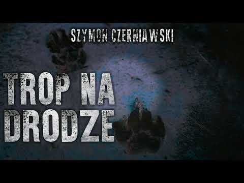 Trop na drodze cz. 2/2 - CreepyPasta [PL]