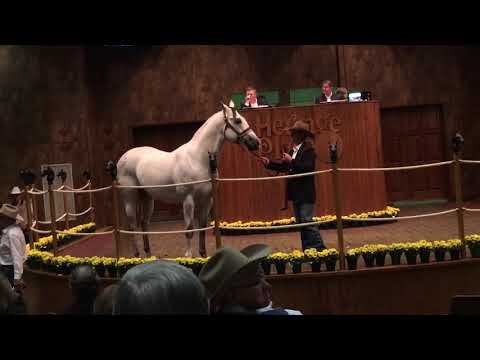 download lagu mp3 mp4 Moonin The Eagle, download lagu Moonin The Eagle gratis, unduh video klip Moonin The Eagle