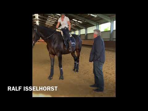www.dressurtrainer-Isselhorst.de - Wie liegt mein Sattel richtig?