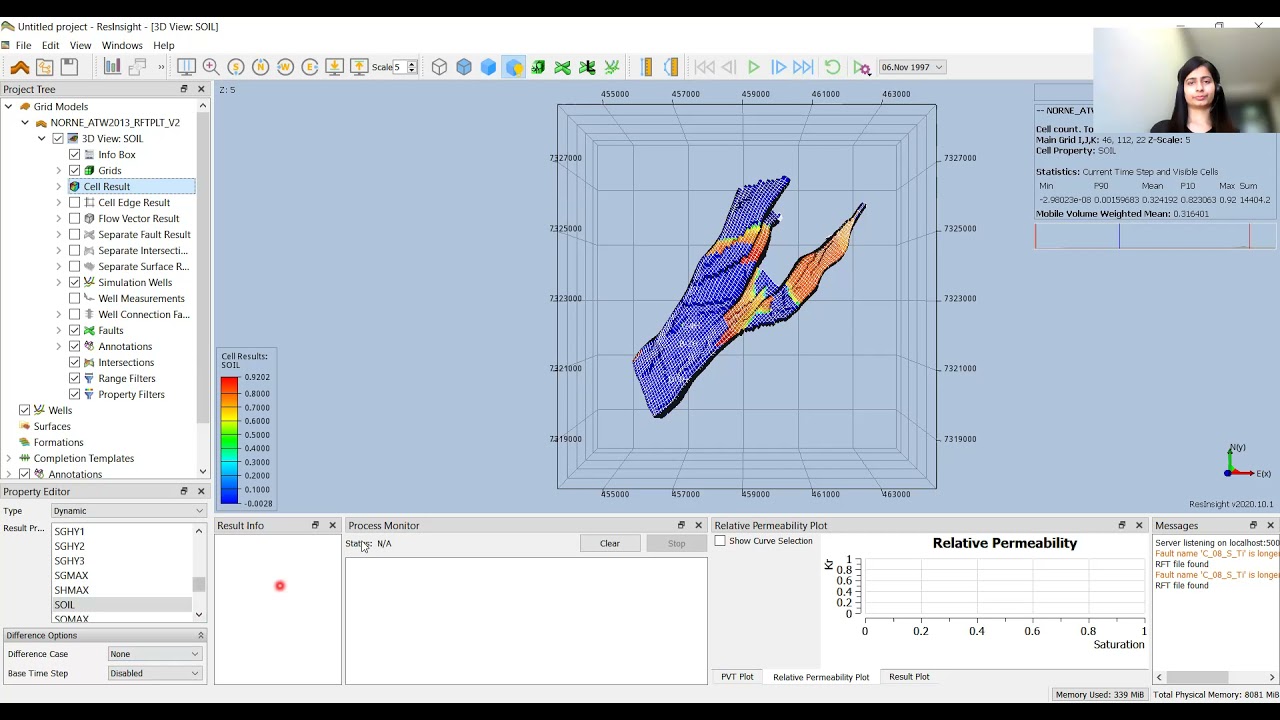 ResInsight Graphical User Interface