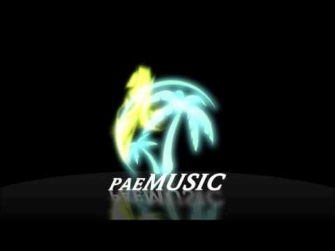 Markus Schulz feat. Jennifer Rene - Not The Same  (Do You Dream)  [HD]