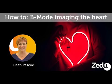 How to: B-Mode ultrasound & imaging the heart - Zedu POCUS Coaching Corner - 7 October 2021