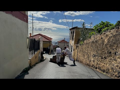 Thumbnail for Scarlet Lady: Jaunty Monte Holiday in Madeira on December 4th, 2024 (4K)