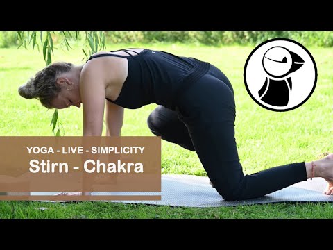 Stirnchakra - Ajna Chakra 6 Video Nr 129