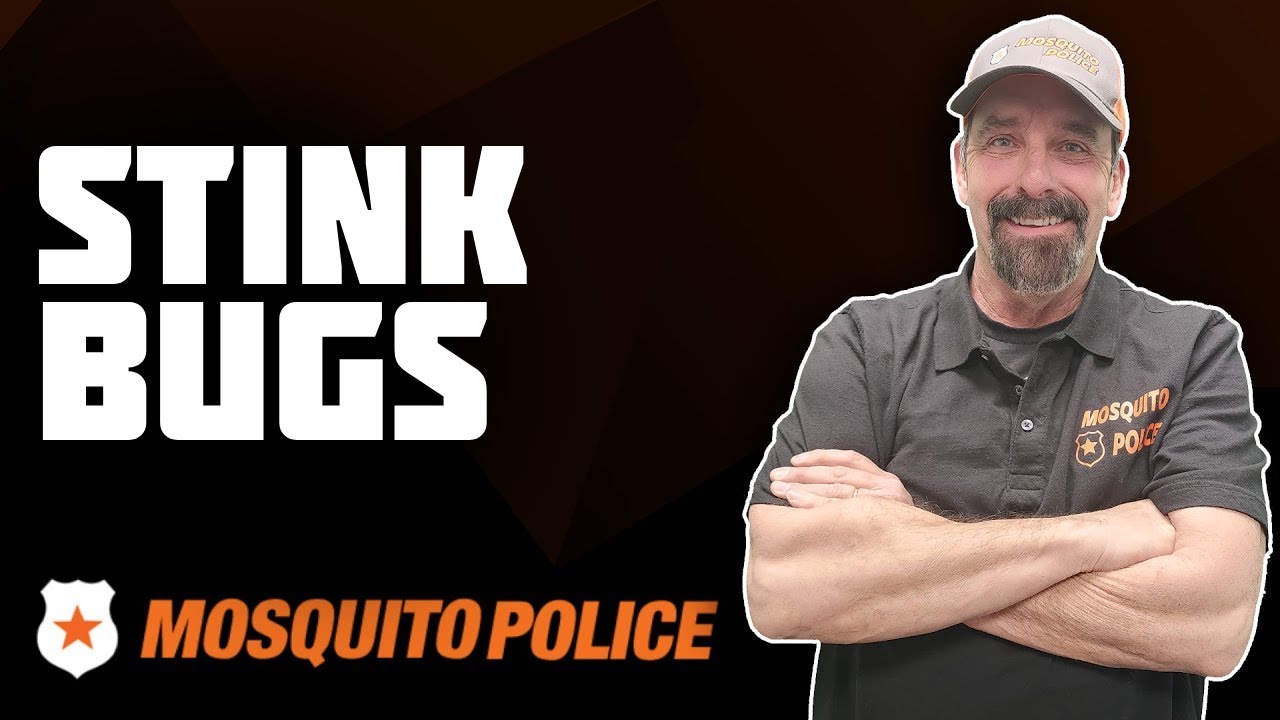 Mosquito Police - Stink Bugs