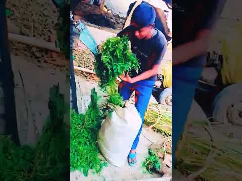 #videoyt #bayal #video #enjoy