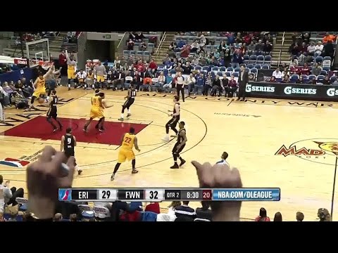 Will Sheehey 2014-15 NBA D-League Season Highlights