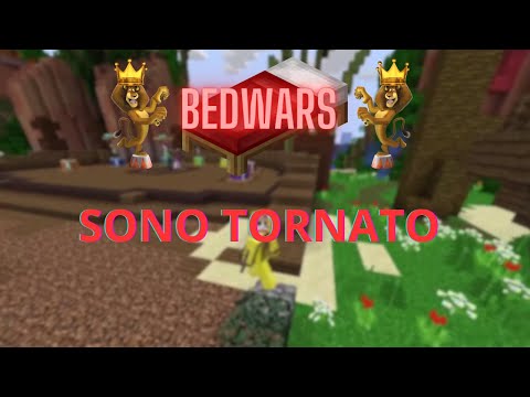 GIOCO ALLE BEDWARS DOPO 4 MESI