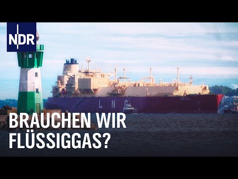 LNG-Terminals: Nutzlos oder nötig für die Energiesicherheit? | Doku | NDR Story