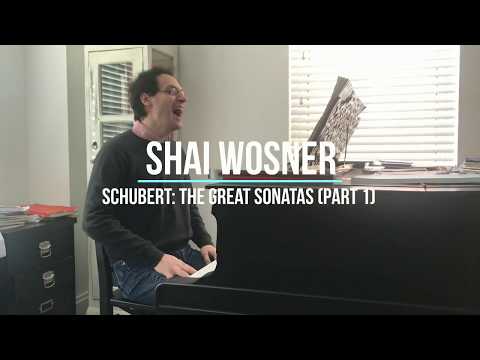 Shai on Schubert, Episode 2: Sonata in C Minor, D. 958