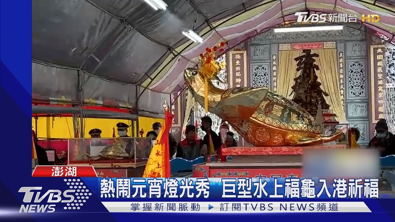 市價3千萬! 元宵節乞龜「黃金龜王」現身