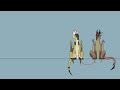 Two Birds PMV