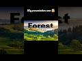 forest presentation  #powerpoint #skills #design  #powerpointpresentation
