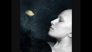 Jean Michel Jarre - ZooLook - Diva  ♫♪THE MASK AND MIRROR ♫♪