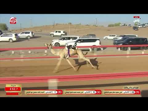 ش 5 (الشبابي) لـ علي سعيد بن مطر عمير الخاطري 3:03:03 ، شارة العقود 2026/05/24 السوان