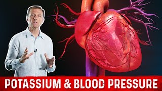 Potassium & Blood Pressure: MUST WATCH!