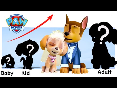PAW Patrol 2023 Growing Up Evolution | Cartoon Wow